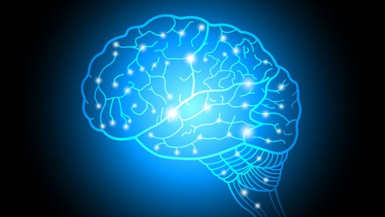 Интересни факти за вашия мозък