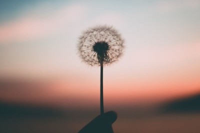Смисълът на живота