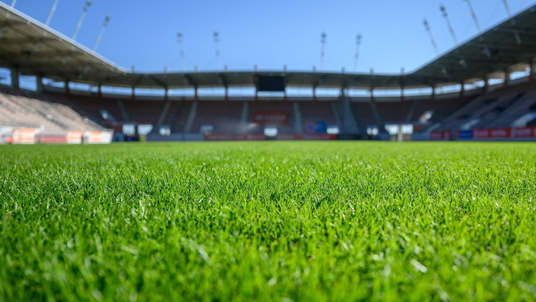 Мароко с най-големият разсадник за естествена трева преди Световното първенство