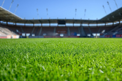 Мароко с най-големият разсадник за естествена трева преди Световното първенство