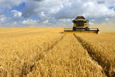 Ще има ли протести на зърнопроизводителите?