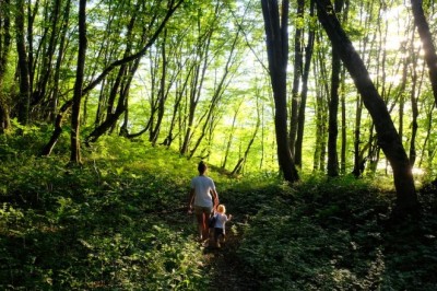 Как природата ни прави по-здрави и по-щастливи
