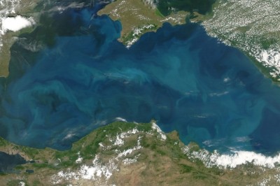 Черно море – по-необикновено, отколкото смятаме