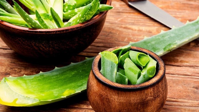 Алое Вера: Ценни Ползи за Здравето и Красотата