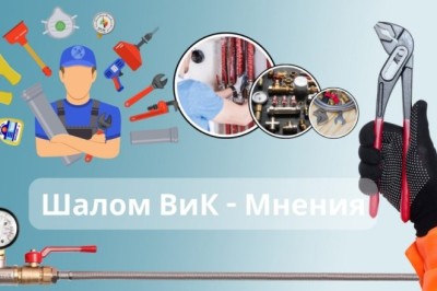 Мнения за Шалом ВиК