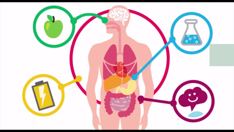 Чревната флора влияе на метаболизма