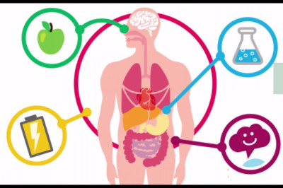Чревната флора влияе на метаболизма